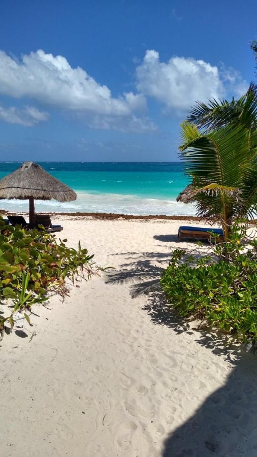 Sol Caribe 호텔 푼타 알렌 외부 사진