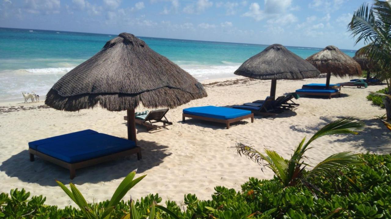 Sol Caribe 호텔 푼타 알렌 외부 사진